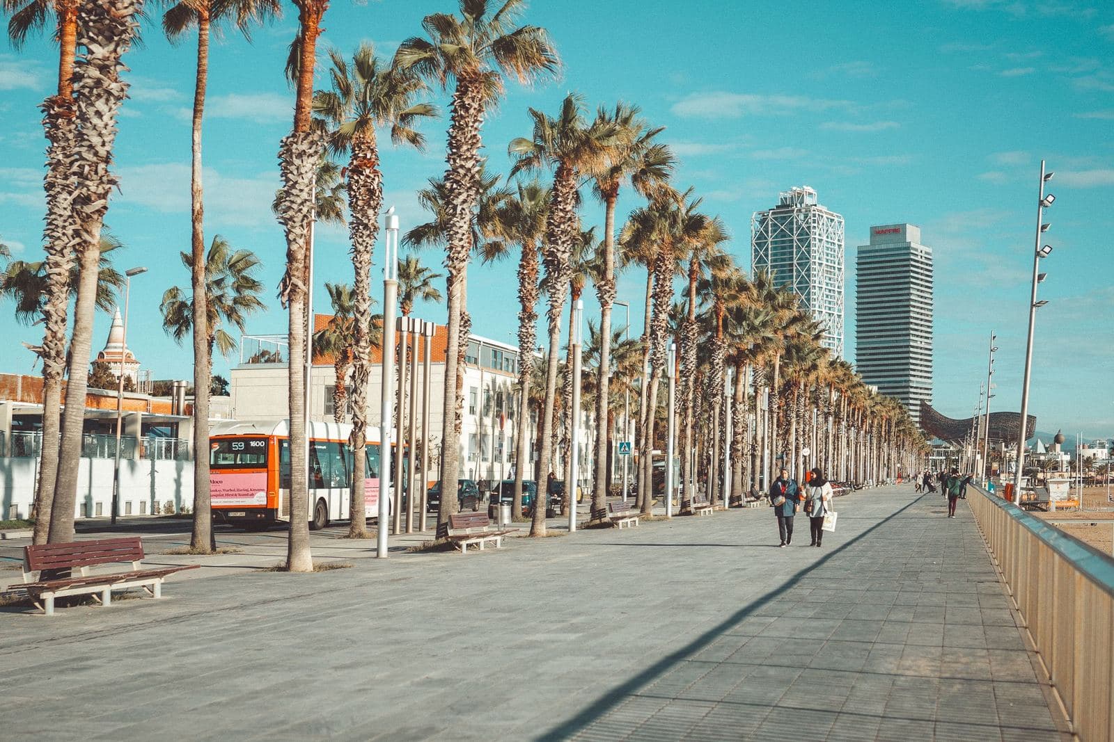 Palmengesäumte Uferpromenade in Barcelona
