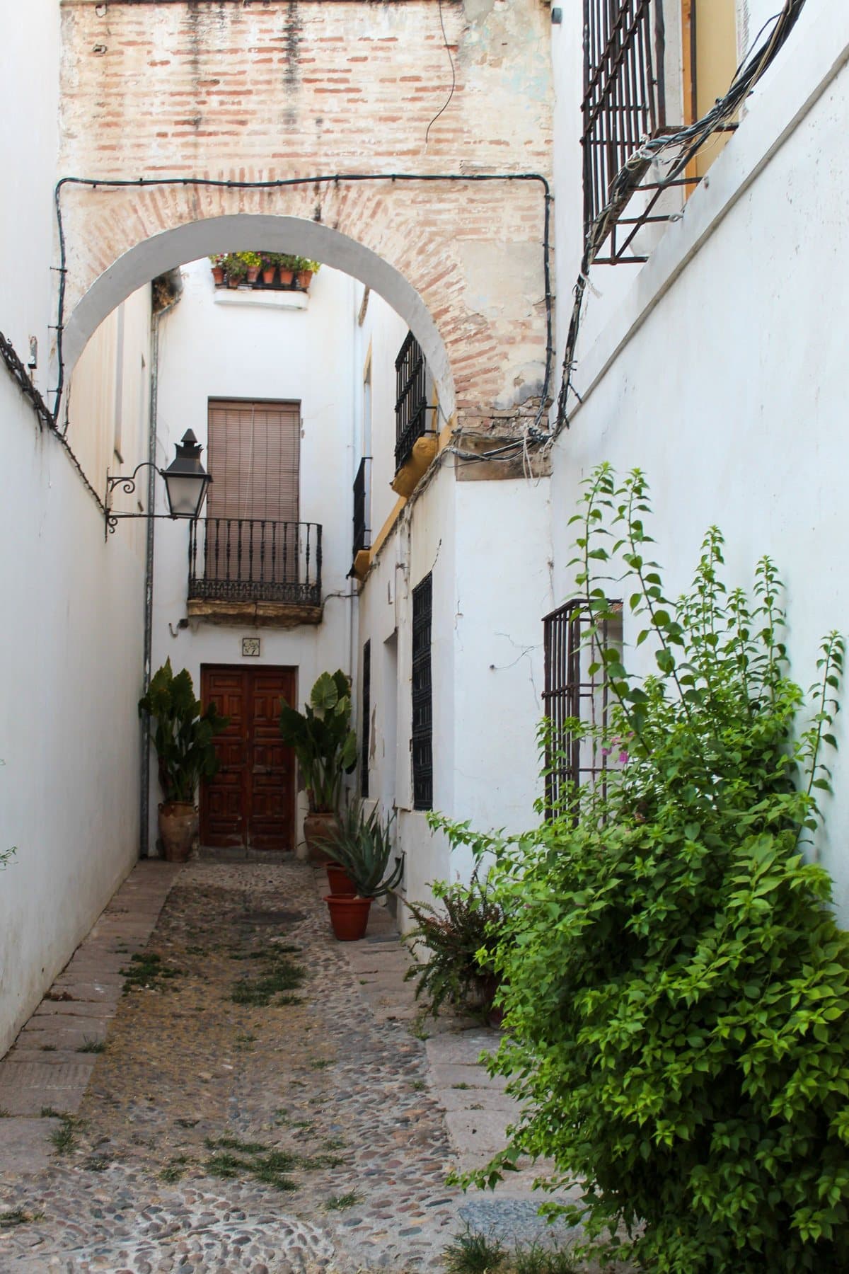 A whitewashed lane in Córdoba's old town