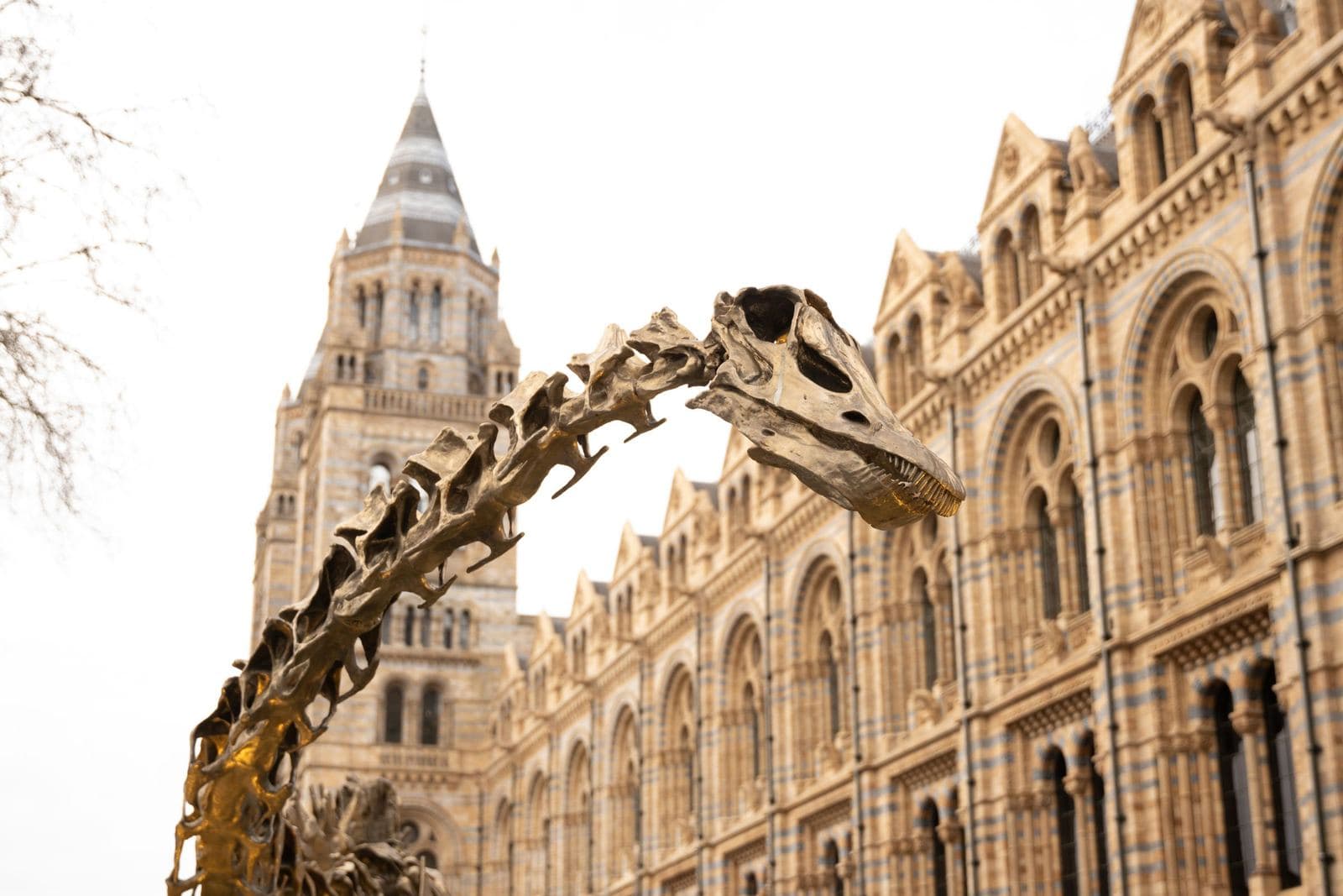 Esqueleto de dinosaurio frente al Museo de Historia Natural, Londres