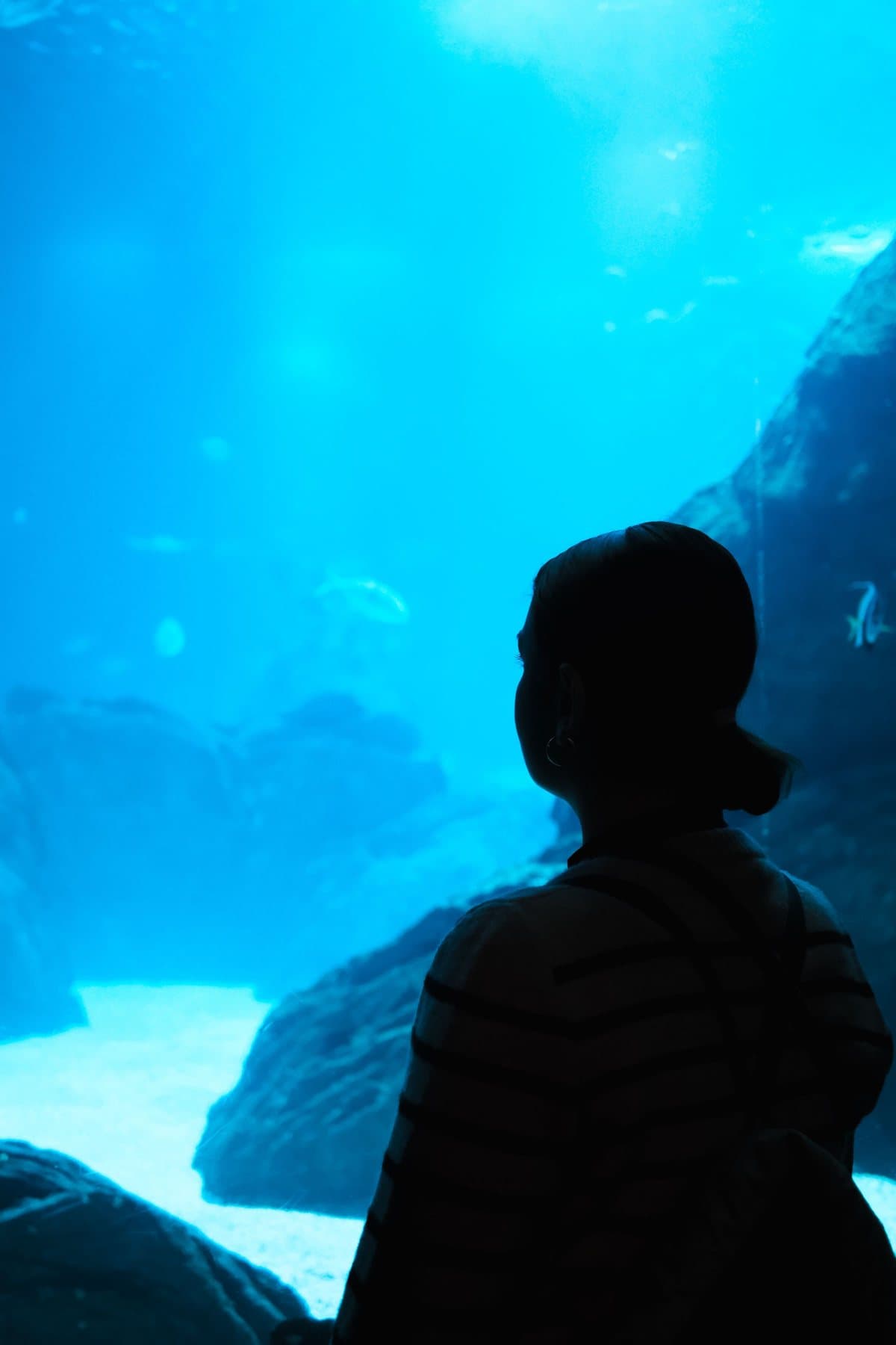 A visitor in silhouette at a large aquarium window in Lisbon