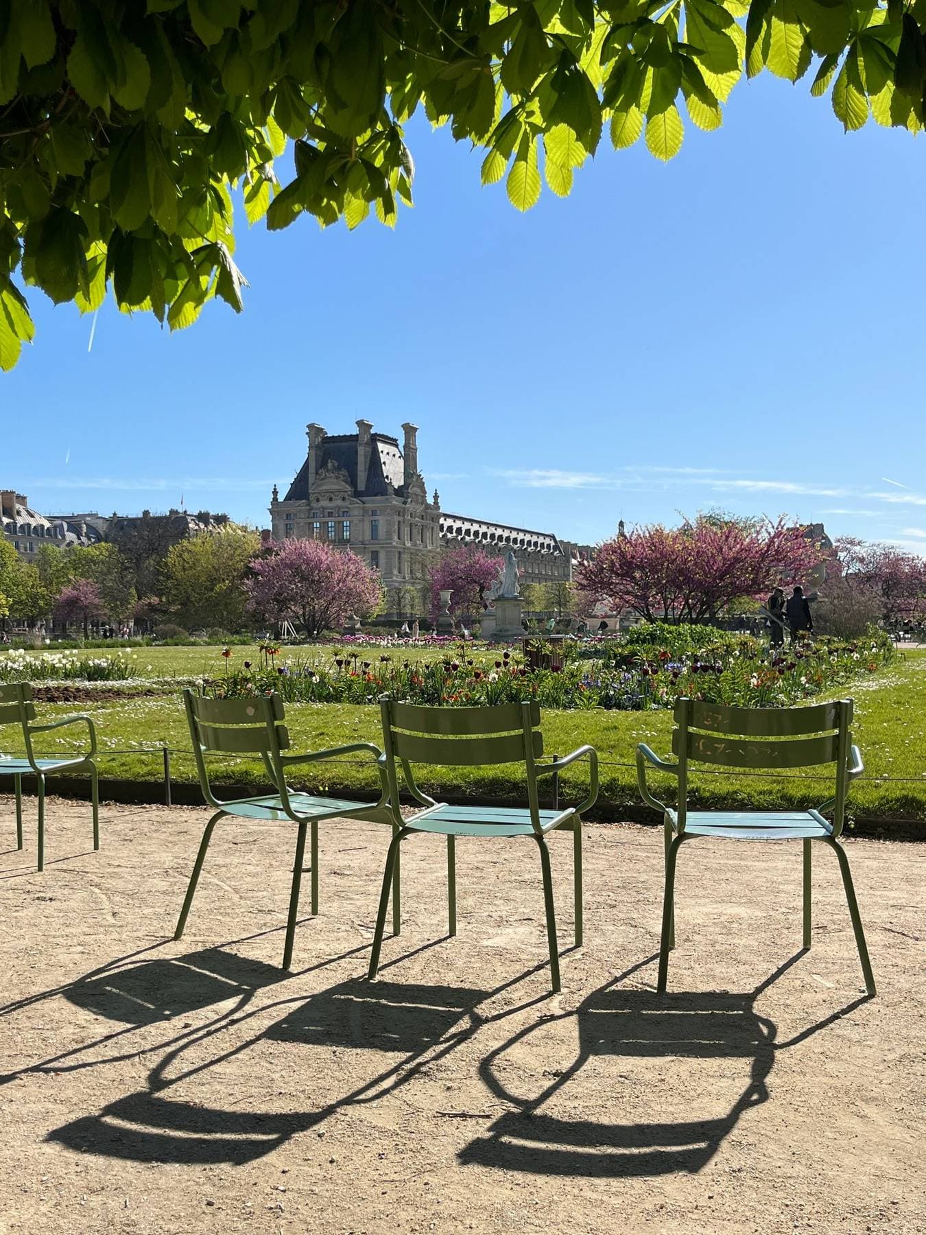 Gartenstühle im Frühling in den Tuilerien, nahe dem Musée de l'Orangerie