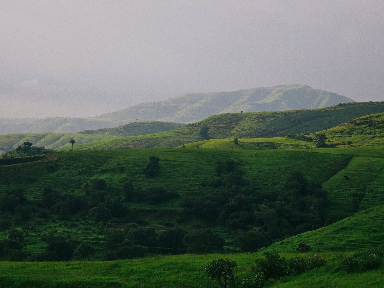 Green hills near Pune after the monsoon