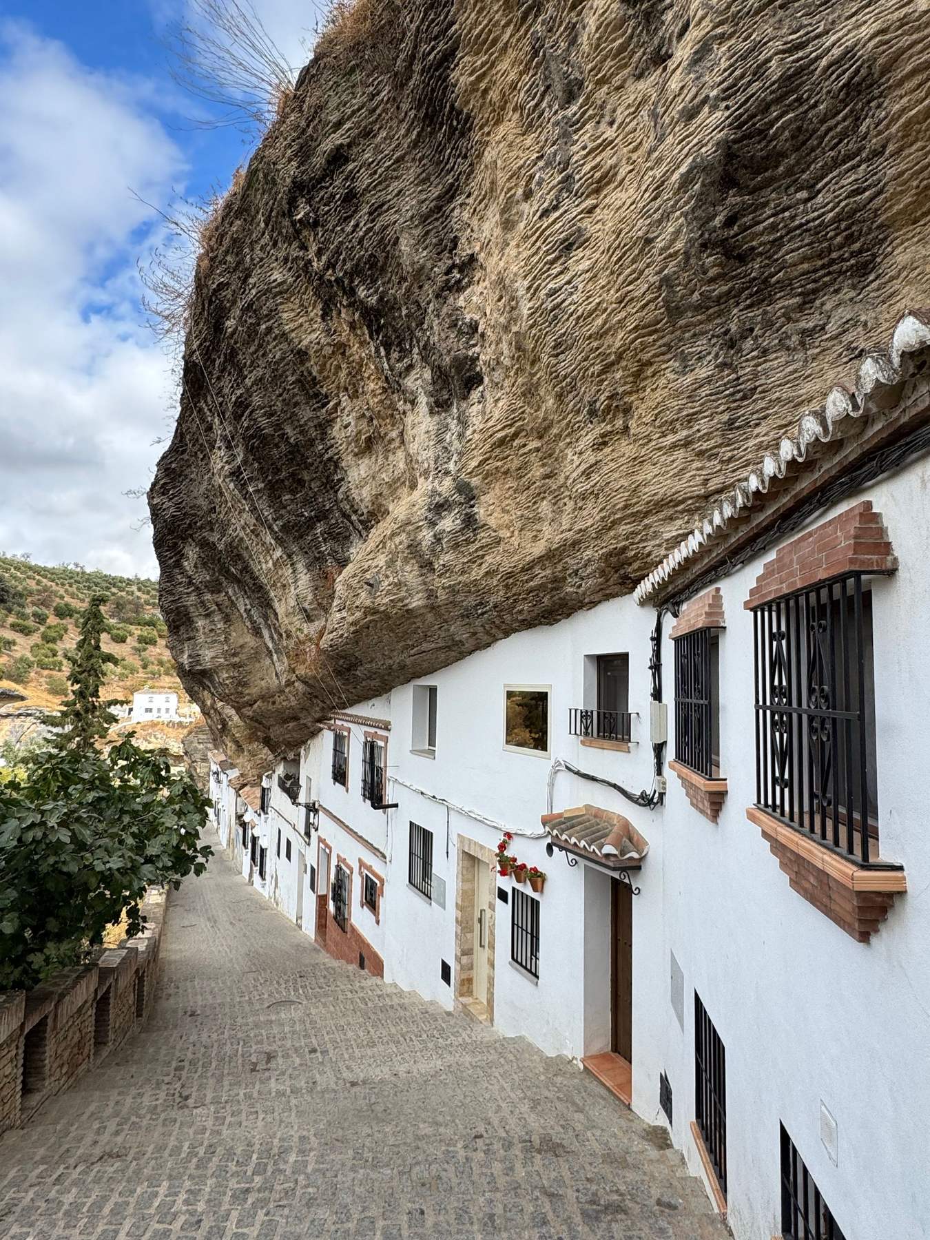 White houses under a rock overhang in Setenil de las Bodegas