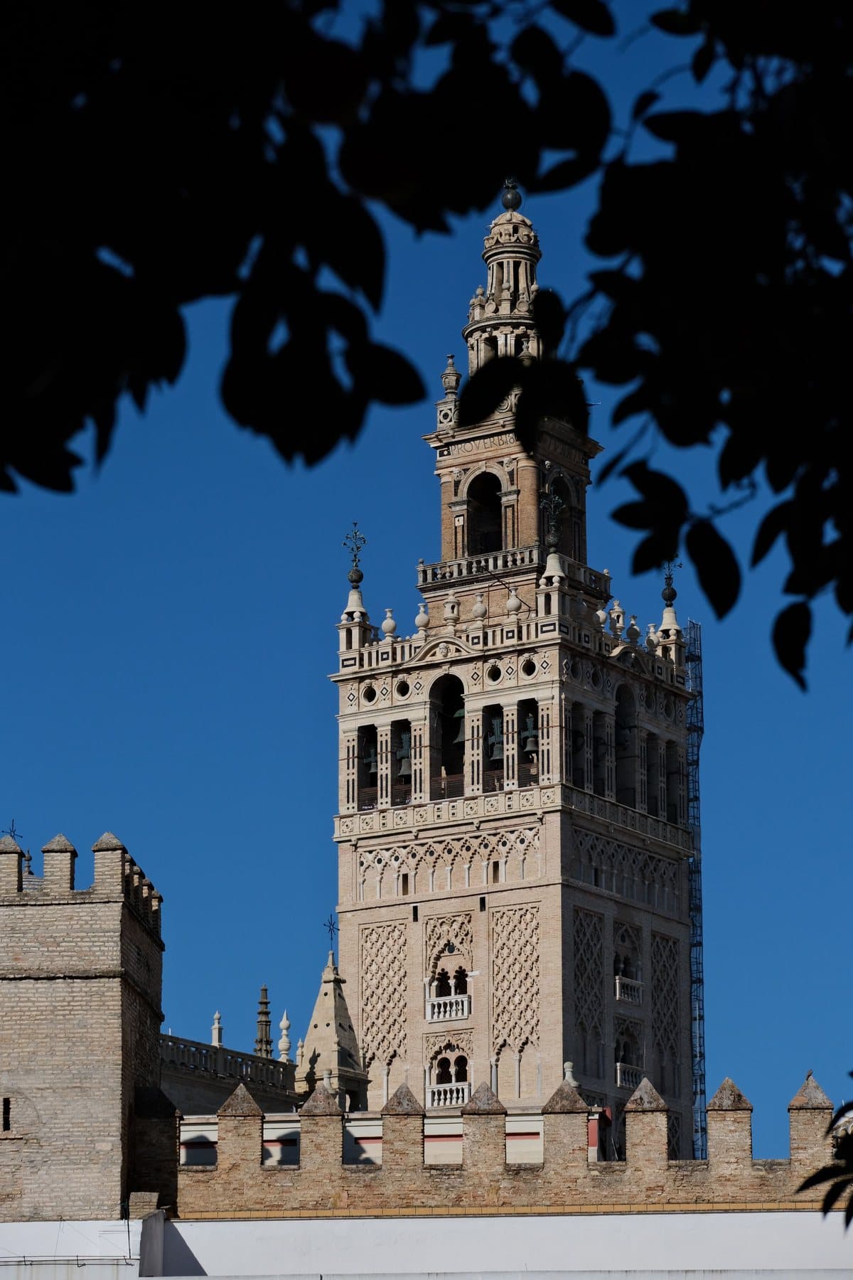 The Giralda rising above the old town