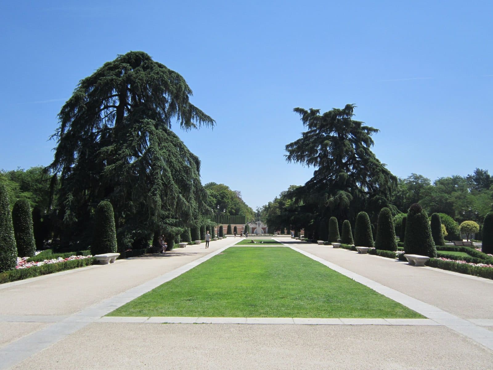 Wide lawn and avenue of trees in Retiro Park on a summer day