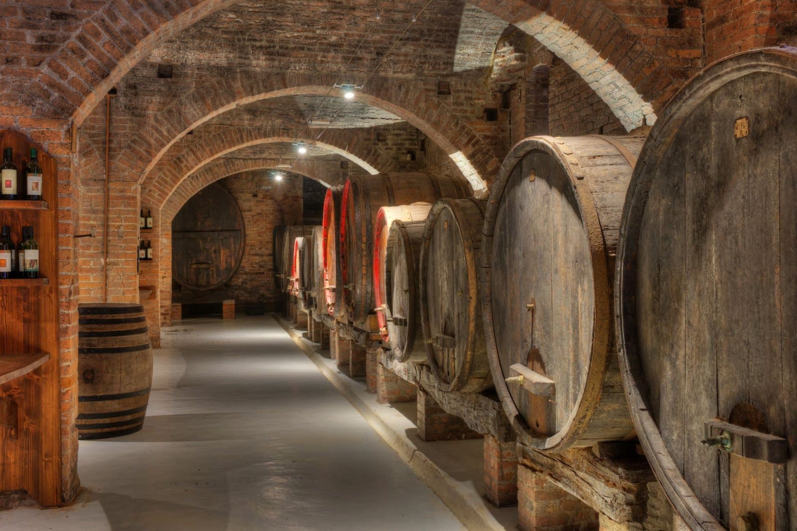 Oak barrels in a vaulted wine cellar