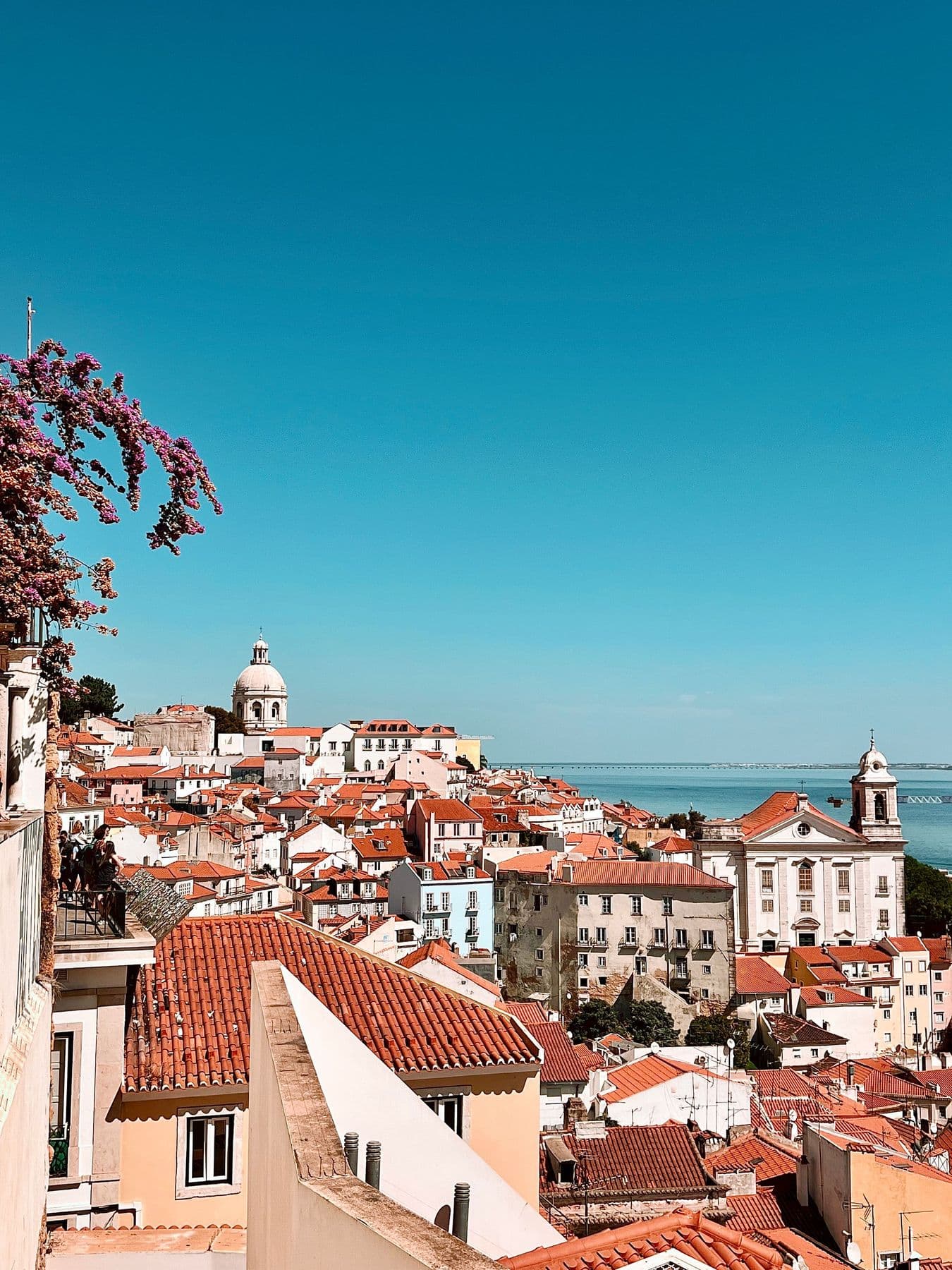 Alfama's rooftops and the Tagus from a viewpoint framed by bougainvillea