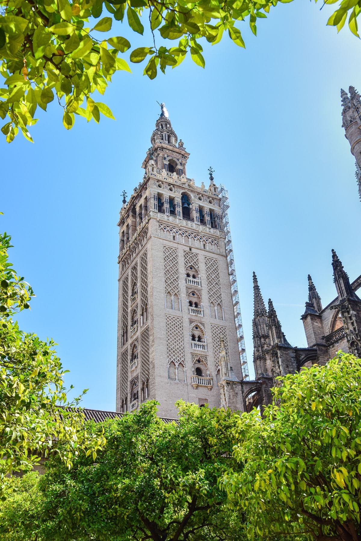 The Giralda bell tower against a blue sky, beside the Cathedral's Gothic pinnacles